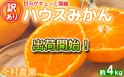 【訳あり・優品】今村農園のハウスみかん 約4kg みかん 柑橘 4kg わけあり 先行予約 7月 フルーツ ＜107-003＞