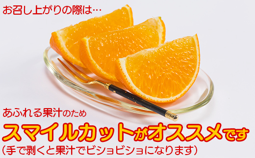 今村農園のおひさまきらりん 約2.5kg【秀品】  甘い オレンジ みかん ミカン 清美 2.5kg 12月発送 1月発送 先行予約 贈答 柑橘類 フルーツ ＜107-024_6＞