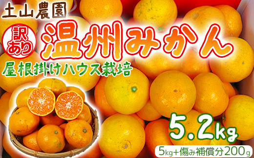 【訳あり】土山農園の温州みかん 屋根掛けハウス栽培 5kg＋傷み補償分200g 家庭用 （宮川早生と興津早生の混合）先行予約 柑橘類 フルーツ 12月 1月＜050-001＞