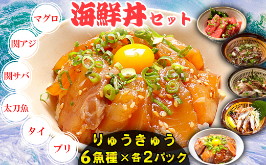 【年内発送】りゅうきゅう6種(本マグロ・関あじ・関さば・太刀魚・真鯛・ぶり)[各2食セット] 海鮮丼 漬け丼 大分郷土料理 豊後絆屋 魚 冷凍 加工品 惣菜 おすすめ おいしい 刺身 詰め合わせ おせち セット 産地直送 国産 海鮮 漬け 真空パック 小分け 惣菜 人気 鮪 マグロ まぐろ 関アジ 関あじ 関サバ 関さば  太刀魚 タチウオ たちうお 鯛 タイ たい 鰤 ブリ ぶり ＜101-005_5＞