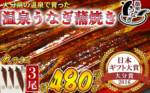 【12月14日決済分まで年内発送】 温泉うなぎ蒲焼 3尾（160gサイズ） 国産うなぎ 人気 国産 蒲焼 蒲焼き かば焼き 鰻屋 個包装 冷凍 真空 ギフト ＜104-012_5＞