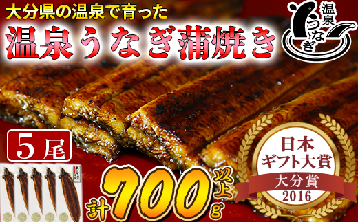 【12月14日決済分まで年内発送】 温泉うなぎ蒲焼 5尾（140gサイズ） 国産うなぎ 人気 国産 蒲焼 蒲焼き かば焼き 鰻屋 個包装 冷凍 真空 ギフト ＜104-009_5＞