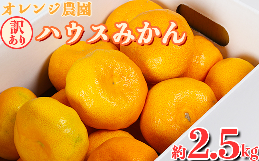 【訳あり品】オレンジ農園のハウスみかん 約2.5kg みかん 柑橘 訳あり 先行予約 7月 8月 フルーツ ＜114-001_5＞