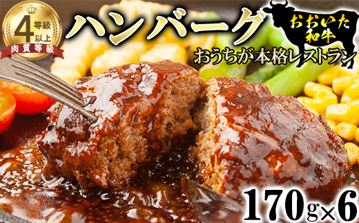 おおいた和牛 ハンバーグ（170g×6）【ニード牧場】 お楽しみ 黒毛和牛 豊後牛 牛肉 お肉 人気 冷凍 国産 ＜129-002_5＞
