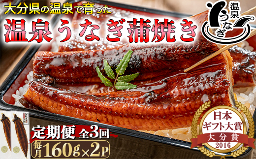 ＜定期便(毎月)全3回＞温泉うなぎ蒲焼 2尾（160gサイズ） ＜104-802＞