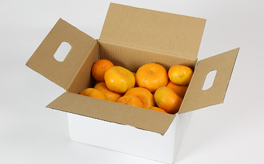 【訳あり品】オレンジ農園のハウスみかん 約2.5kg みかん 柑橘 訳あり 先行予約 7月 8月 フルーツ ＜114-001_5＞