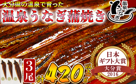 【12月14日決済分まで年内発送】 温泉うなぎ蒲焼 3尾（140gサイズ） 国産うなぎ 人気 国産 蒲焼 蒲焼き かば焼き 鰻屋 個包装 冷凍 真空 ギフト ＜104-008_5＞