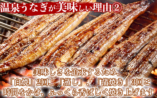 【12月14日決済分まで年内発送】 温泉うなぎ蒲焼 2尾（160gサイズ） 国産うなぎ 人気 国産 蒲焼 蒲焼き かば焼き 鰻屋 個包装 冷凍 真空 ギフト ＜104-011_5＞