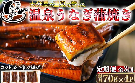 ＜定期便(毎月)全3回＞完全無投薬養殖！大分水産の温泉うなぎ蒲焼（カット）70g×4  ＜104-801＞