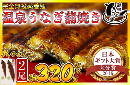 温泉うなぎ蒲焼 2尾（160gサイズ） 国産うなぎ 人気 国産 蒲焼 蒲焼き かば焼き 鰻屋 個包装 冷凍 真空 ギフト ＜104-011_5＞