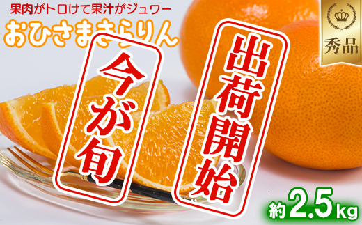 今村農園のおひさまきらりん 約2.5kg【秀品】  甘い オレンジ みかん ミカン 清美 2.5kg 12月発送 1月発送 先行予約 贈答 柑橘類 フルーツ ＜107-024_6＞