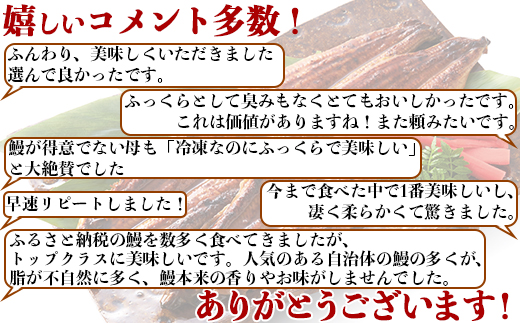 温泉うなぎ蒲焼 3尾（140gサイズ） 国産うなぎ 人気 国産 蒲焼 蒲焼き かば焼き 鰻屋 個包装 冷凍 真空 ギフト ＜104-008＞