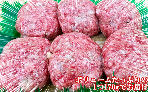 おおいた和牛 ハンバーグ（170g×6）【ニード牧場】 お楽しみ 黒毛和牛 豊後牛 牛肉 お肉 人気 冷凍 国産 ＜129-002＞