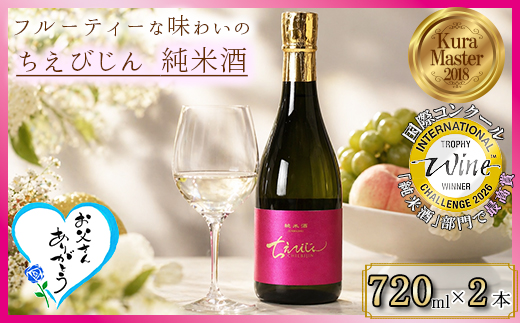 ちえびじん純米酒 720ml 2本セット [IWC 2026 純米酒部門トロフィー(最高賞)受賞]【中野酒造】 人気 ギフト 贈答 ＜110-001＞