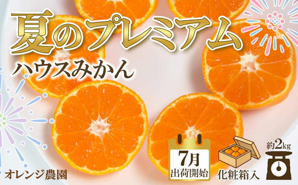 【2026 夏 発送 先行予約】オレンジ農園のハウスみかん 約2kg みかん 柑橘 7月 8月 フルーツ ＜114-002＞