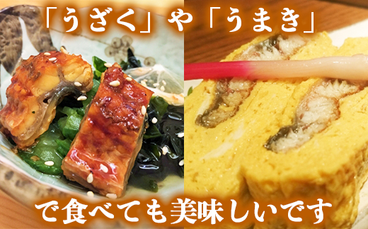 完全無投薬養殖！大分水産の温泉うなぎ蒲焼（カット）70g×2 お試しにどうぞ！ 国産 蒲焼 蒲焼き かば焼き 鰻屋 個包装 冷凍 真空 ギフト ＜104-001_5＞