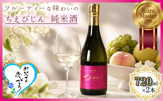 ちえびじん純米酒 720ml 2本セット [Kura Master 2018 プレジデント賞受賞]【中野酒造】 人気 ギフト 贈答 父の日 ＜110-001＞
