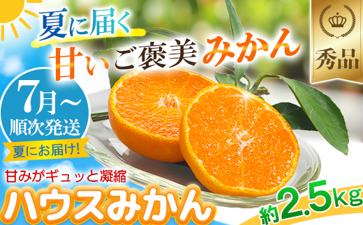 今村農園のハウスみかん 約2.5kg【秀品】 みかん 柑橘 2.5kg 秀品 先行予約 7月 フルーツ ＜107-007＞