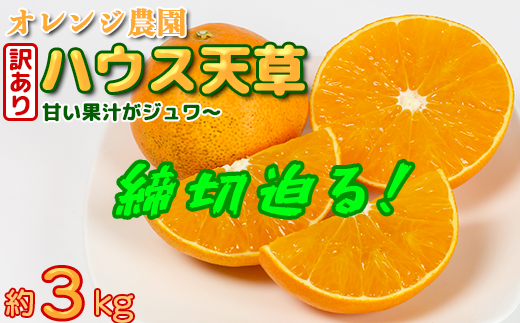 【年内発送】【訳あり・規格外品】九州のオレンジ「ハウス天草」約3〜3.3kg みかん ミカン オレンジ 訳あり 先行予約 柑橘類 11月 12月 ＜114-003_5＞