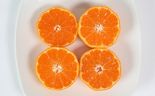 【訳あり品】オレンジ農園のハウスみかん 約2.5kg みかん 柑橘 訳あり 先行予約 7月 8月 フルーツ ＜114-001_5＞