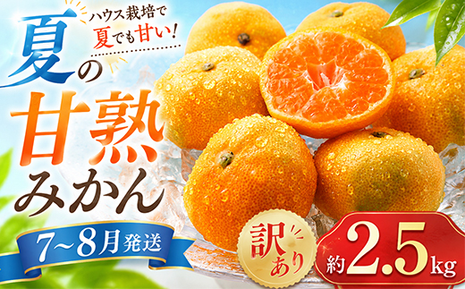 【訳あり品】オレンジ農園のハウスみかん 約2.5kg みかん 柑橘 訳あり 先行予約 7月 8月 フルーツ ＜114-001＞
