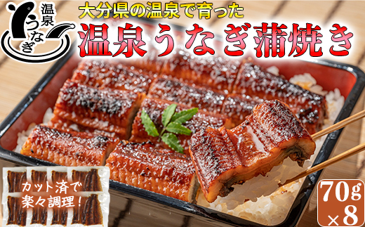 【12月14日決済分まで年内発送】 完全無投薬養殖！大分水産の温泉うなぎ蒲焼（カット）70g×8 国産 蒲焼 蒲焼き かば焼き 鰻屋 個包装 冷凍 真空 ギフト ＜104-004_5＞
