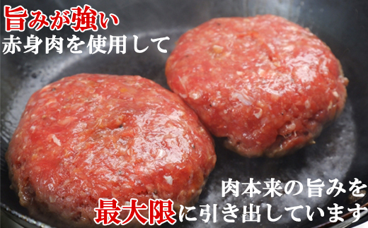 おおいた和牛 ハンバーグ（170g×6）【ニード牧場】 お楽しみ 黒毛和牛 豊後牛 牛肉 お肉 人気 冷凍 国産 ＜129-002＞
