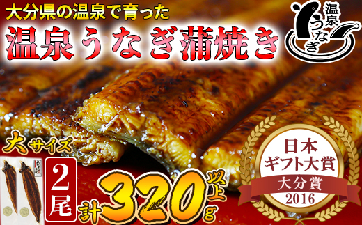 【12月14日決済分まで年内発送】 温泉うなぎ蒲焼 2尾（160gサイズ） 国産うなぎ 人気 国産 蒲焼 蒲焼き かば焼き 鰻屋 個包装 冷凍 真空 ギフト ＜104-011_5＞