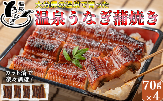 【12月14日決済分まで年内発送】 完全無投薬養殖！大分水産の温泉うなぎ蒲焼（カット）70g×4 国産 蒲焼 蒲焼き かば焼き 鰻屋 個包装 冷凍 真空 ギフト ＜104-003_5＞
