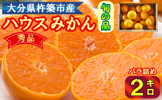 ハウスみかん約2kg 秀品（バラ詰め） みかん 温州 温州みかん 温州ミカン 2kg 甘い 秀品 柑橘類 糖度 6月 7月 ハウスみかん フルーツ 先行予約 九州 大分 杵築 ＜132-031＞