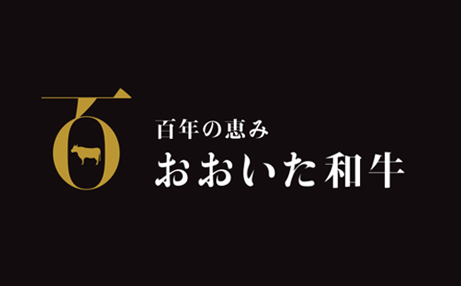 おおいた和牛切り落とし3kg（300g×10p） ※真空パック 【匠牧場】 牛肉 切り落とし すき焼き 牛 小分け 和牛 おすすめ 国産 おおいた和牛 おおいた和牛 バーベキュー 生産者応援の品 ＜102-004＞