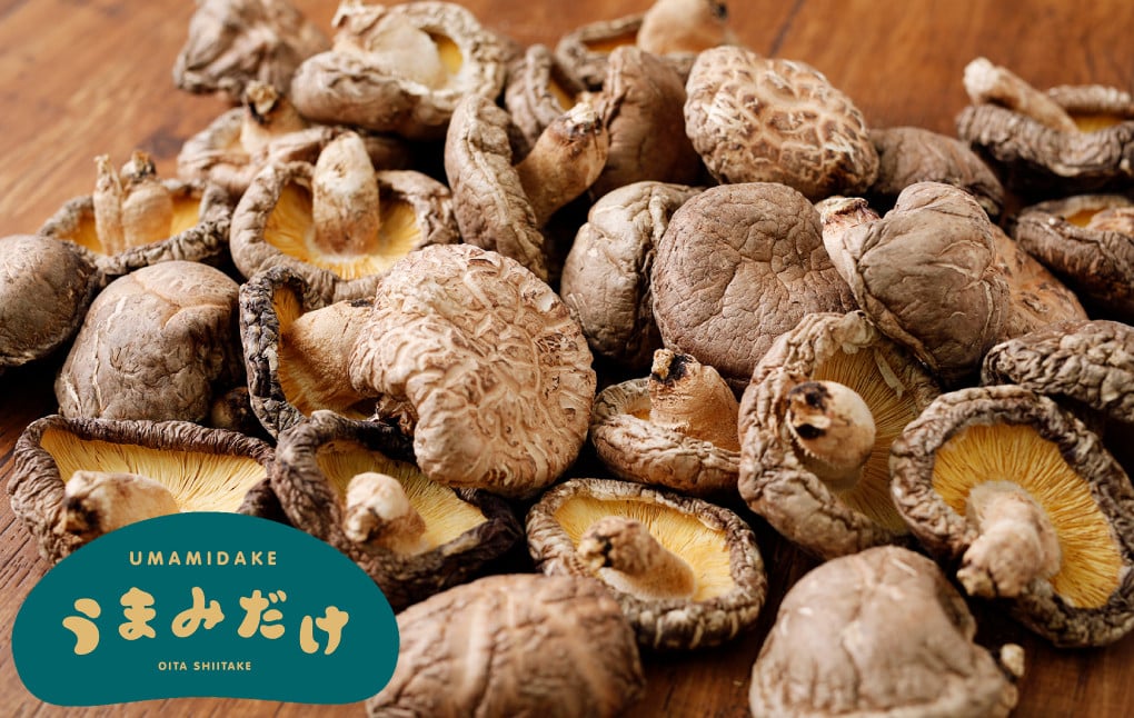 015-695x1 【入金確認後14日以内に発送】 山盛り うまみだけ どんこ椎茸 400g 椎茸 きのこ 茸