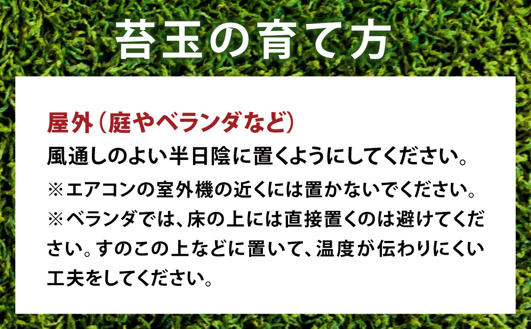 144-1234x3 èç 1å èçæ œ 1å (ãã¿ã) åèš2å ã»ãã ã³ã± è ã2026幎3æäžæ¬ãã11æäžæ¬è¿é 次çºéäºå®ã