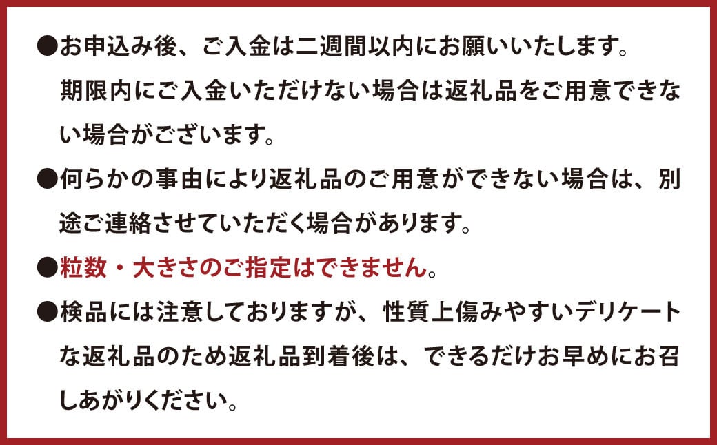 056-1119x1 【先行予約】 シャインマスカット 2房 合計約1.2kg 種なし ぶどう 【2025年9月下旬から10月下旬発送予定】