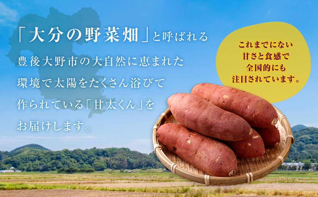 171-1130 【先行予約】 高糖度さつまいも 甘太くん 約1.8kg（Lサイズ3本・Mサイズ5本） 小箱 サツマイモ 甘藷 かんしょ おやつ 焼き芋 【2024年11月下旬から2025年4月下旬発送予定】