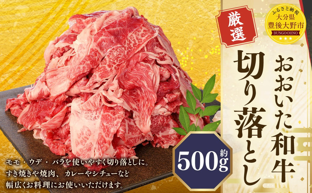 173-1176 おおいた和牛 切り落とし（500g）厳選 国産 和牛 肉 牛肉 冷凍 肉じゃが 牛丼 焼肉 カレー シチュー 炒め物