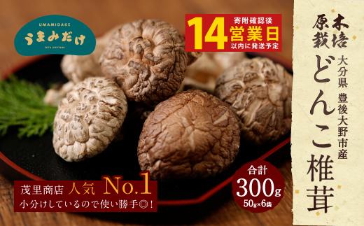 015-958x1 【14営業日以内発送】 原木椎茸 どんこ椎茸 小袋セット  300g（50g×6袋）うまみだけ