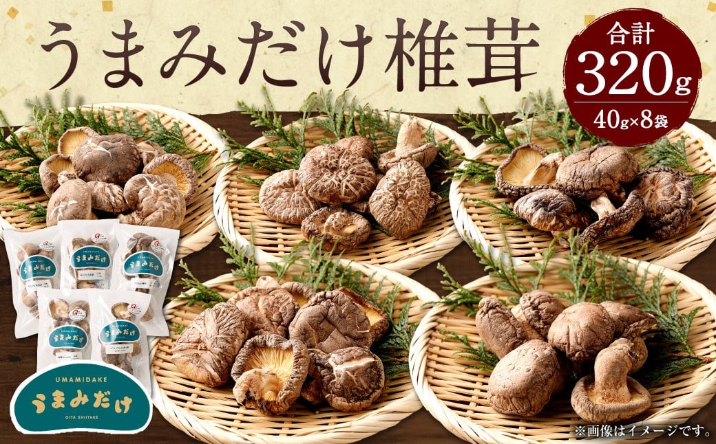 015-602x2 うまみだけ 食べくらべセット 40g×8袋 計320g しいたけ きのこ 豊後大野市