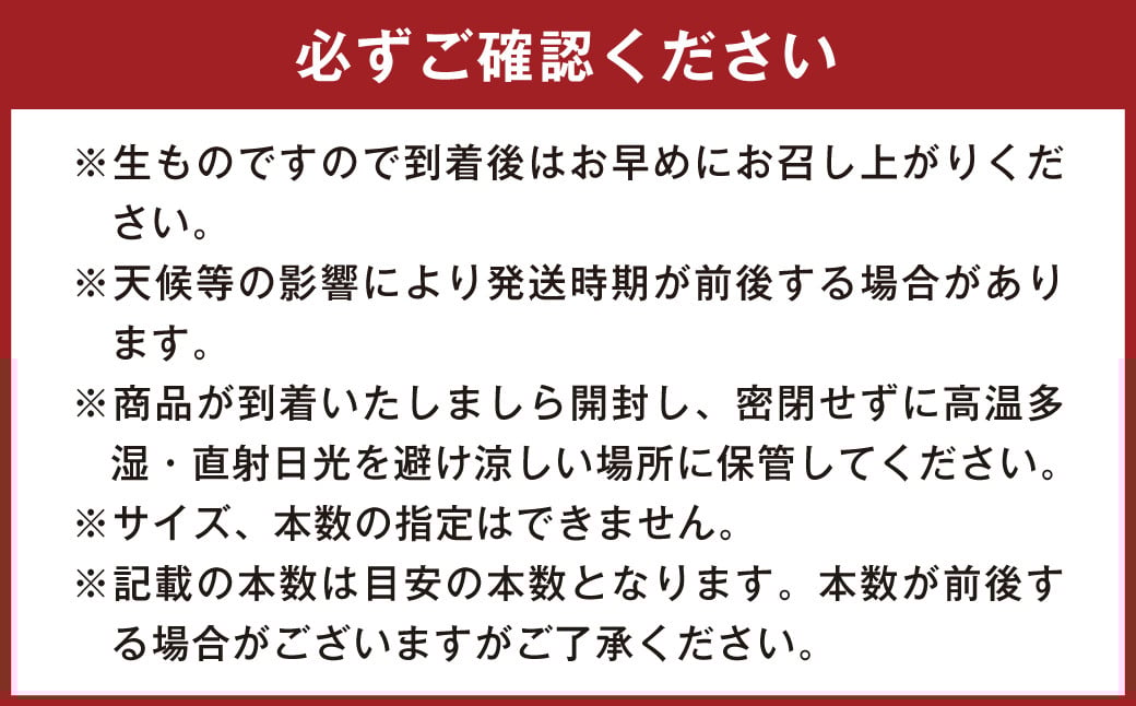 134-1145x1 甘太くん 5kg（Ｍ～2Lサイズ） さつまいも 芋 紅はるか 【2025年12月下旬～2026年4月上旬発送予定】 