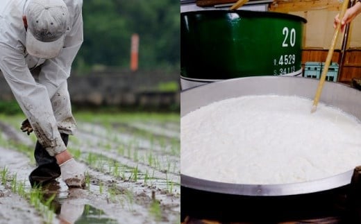 101-899x1 æµå¶é
é é·¹æ¥å± çºé
µïŒé
ç² ãé
ã®ããšã ã»ãã ãã€ãŸã¿ çºé
µé£å