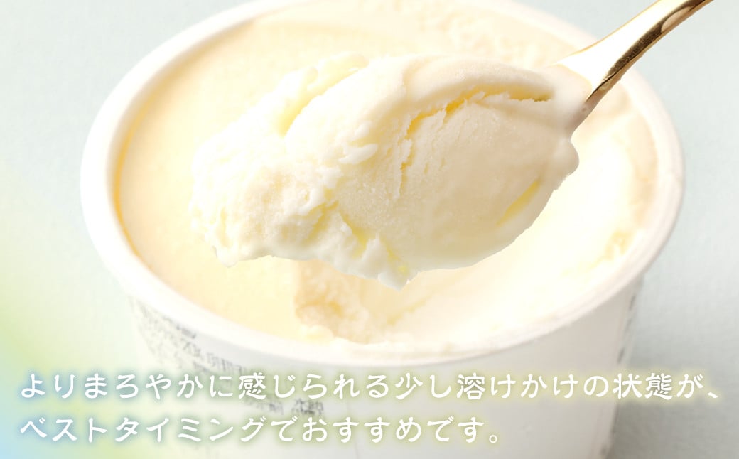 158-883 綿田の米 塩アイス 16個 セット アイス アイスクリーム デザート お米アイス