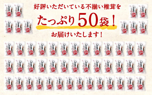 015-963 不揃い 椎茸 50袋セット 40g×50袋 合計2kg 干し椎茸 乾燥 しいたけ ギフト