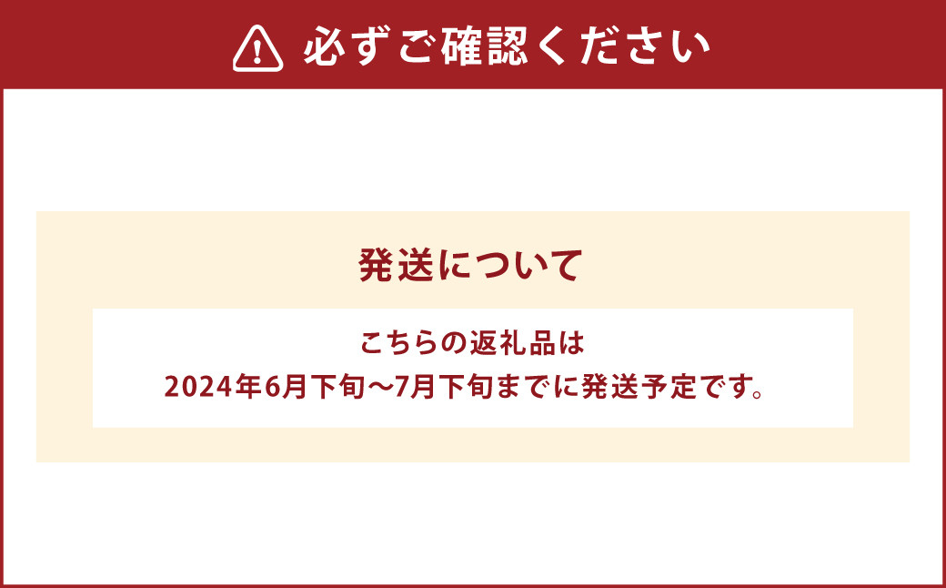 004-1052 【先行予約】 平均糖度20度以上 スイートコーン 約6kg前後 13本〜16本 とうもろこし 【2024年6月下旬〜7月下旬発送予定】