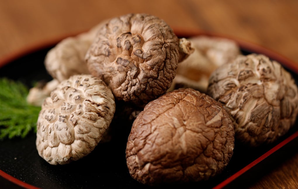 015-1225x1 進物どんこ 80g×1 進物香信 70g×1 計150g 乾燥 椎茸 きのこ 茸