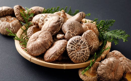 015-320x1 雎雁セ悟、ァ驥主クら肇 騾イ迚ゥ 縺ゥ繧薙% 200g 蟷イ縺励@縺縺溘¢ 讀手減 縺縺セ縺ソ縺縺