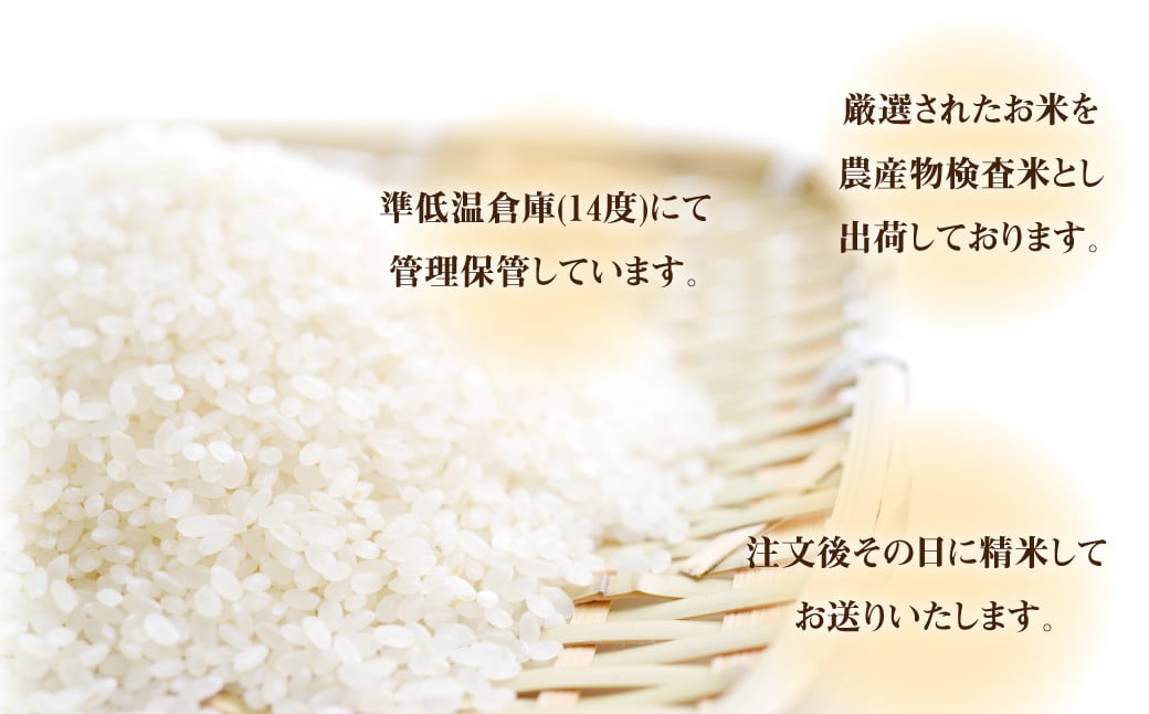 009-1257 令和6年産 大分県 緒方産 ひのひかり 5kg 専用箱入り