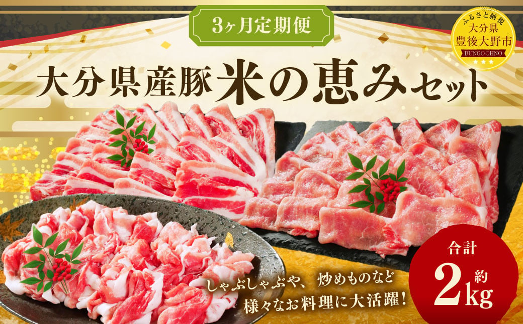 173-1291 【3ヶ月定期便】大分県産豚 米の恵み セット 合計約2kg 1回あたり約600g～約800g 豚肉 食べ比べ ロース 切落し スライス 豚バラ バラ バラ肉 焼肉 BBQ バーベキュー お取り寄せ グルメ 大分県産