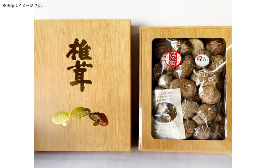 015-697x1 騾イ迚ゥ縺ゥ繧薙% 300g 荵セ辯・ 讀手減 縺阪ョ縺 闌ク