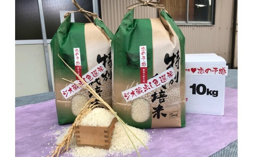 036-1254x3 ãžãªèµåºãè²éžç±³ ç¹å¥æ œå¹ç±³ 10kg (5kgÃ2è¢) 什å7å¹Žç£ å€§åç è±åŸå€§éåžç£ 倧åçéžæéæç»é²åçš® ãæã®äºæã ç±³ 粟米