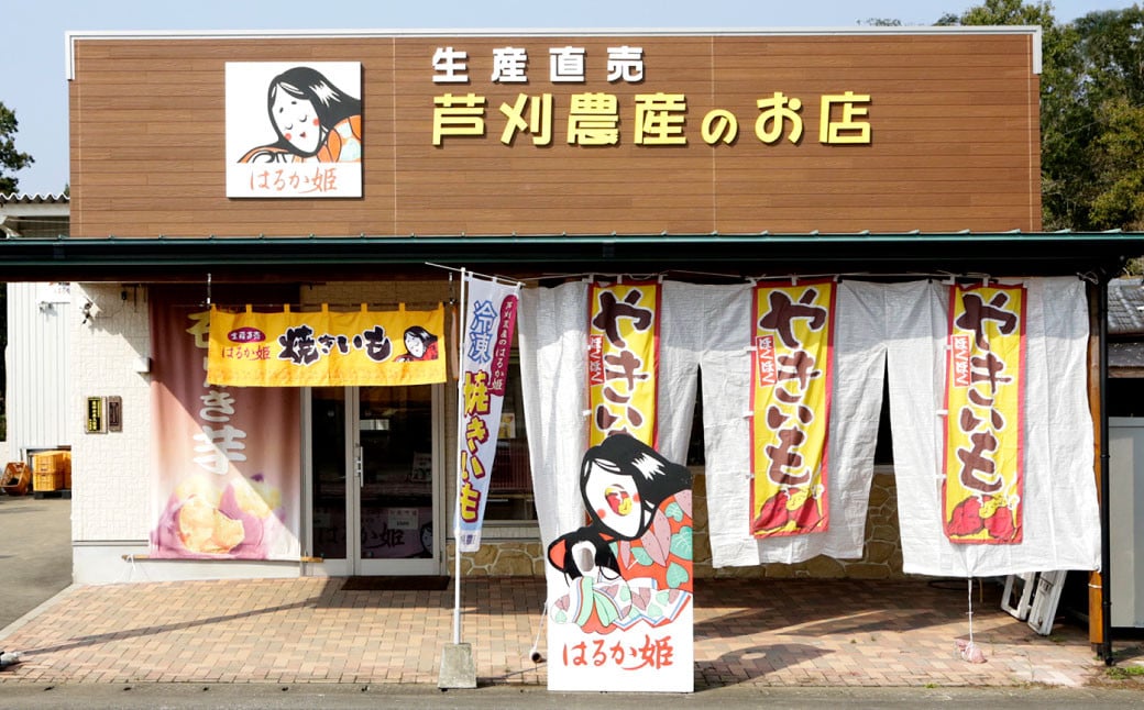 004-1303 はるか姫 約3.5kg（A品） さつまいも いも イモ 芋 紅はるか べにはるか 国産 常温 大分県 豊後大野市 【2025年11月下旬～2026年5月下旬発送予定】